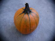 pumpkin-8