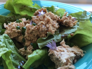 Tuna salad with garden lettuces